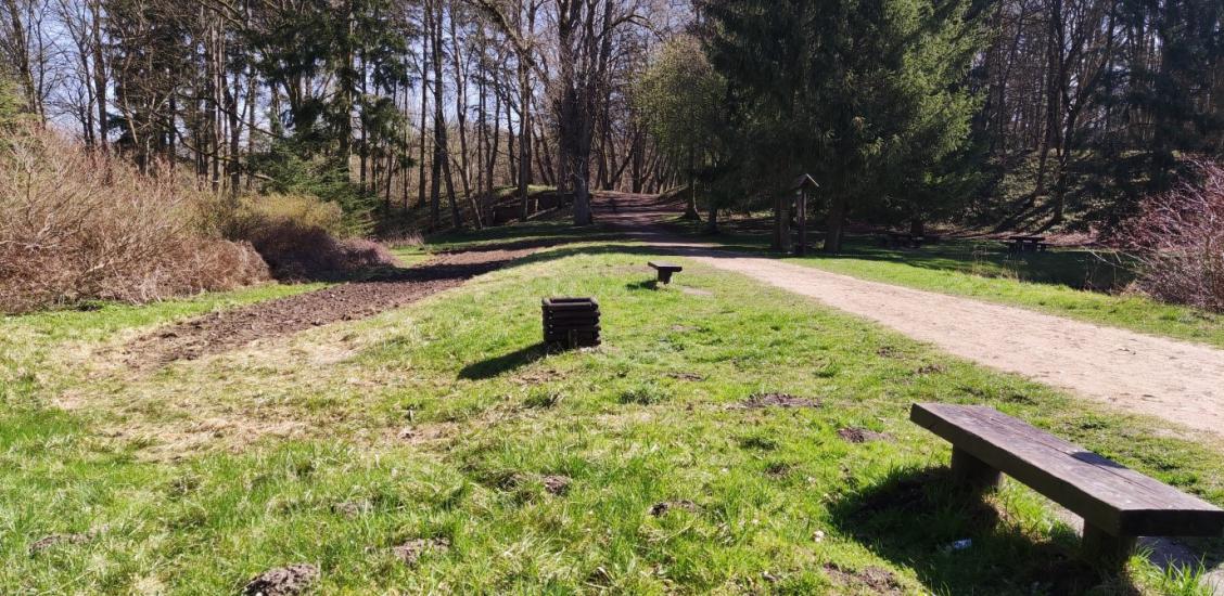 Miejsce na łąkę kwietną w połczyńskim Parku Zdrojowym