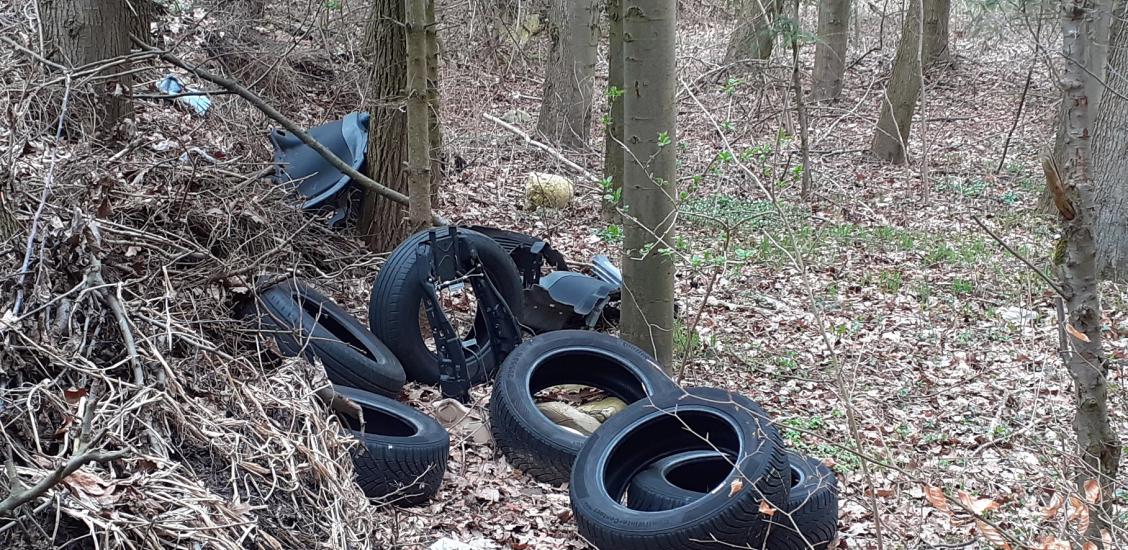 Dzikie wysypisko opon pod Połczynem-Zdrojem