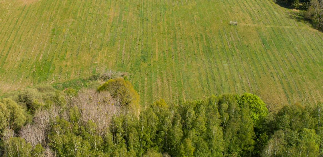 Ziemia rolna. Zdjęcie poglądowe.