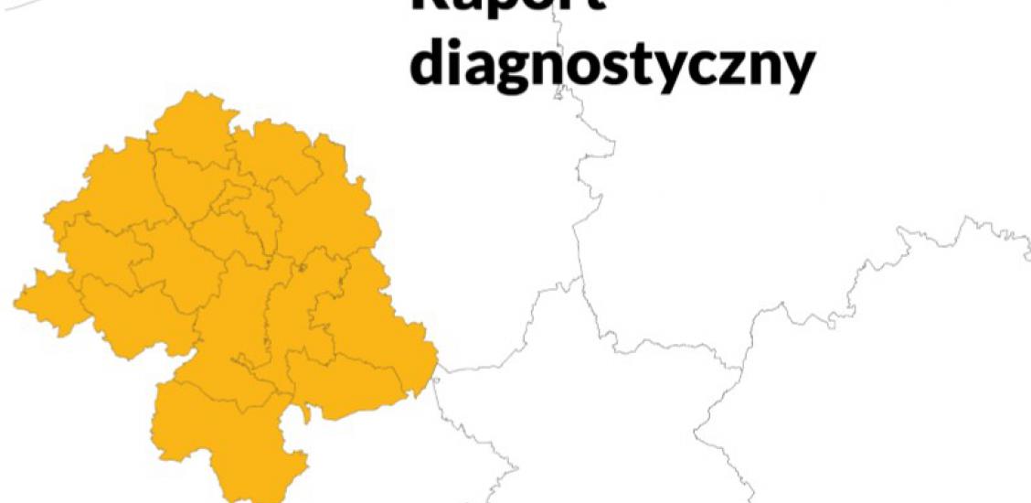Raport diagnostyczny