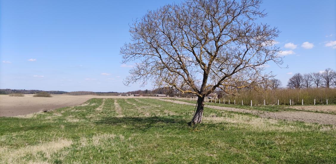 Działka w Wardyniu Górnym