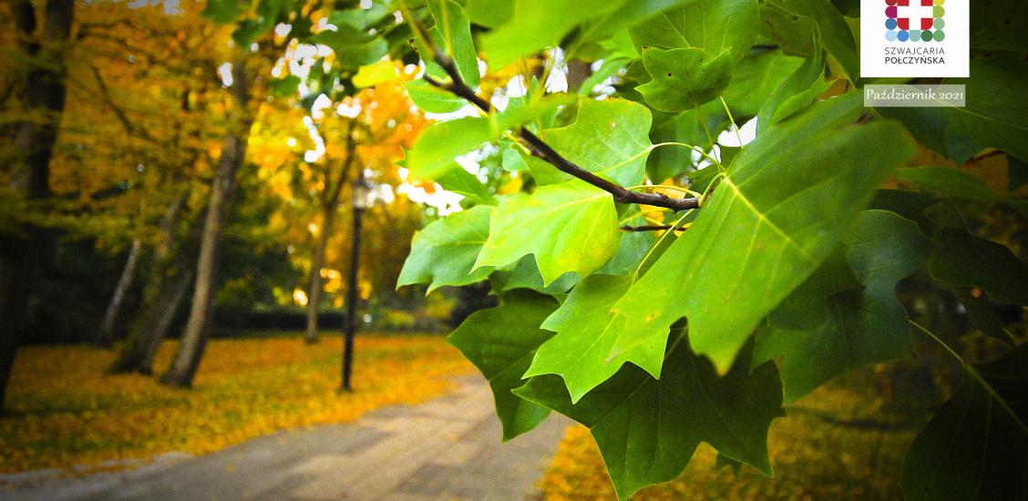 Ściągnij tapety Szwajcarii Połczyńskiej - krajobrazy październikowe
