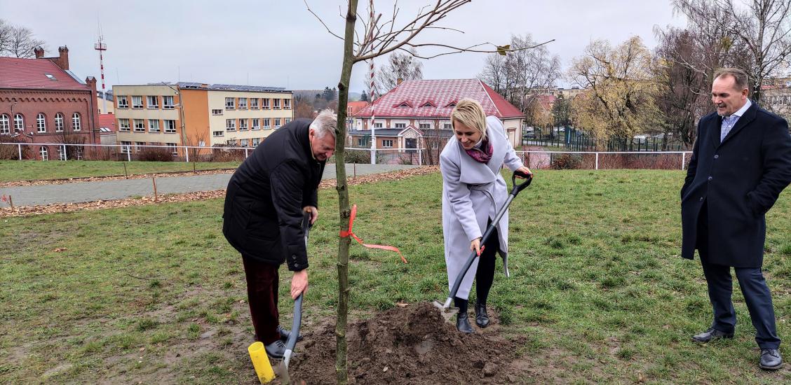 Moment sadzenia drzewek przy SP 1