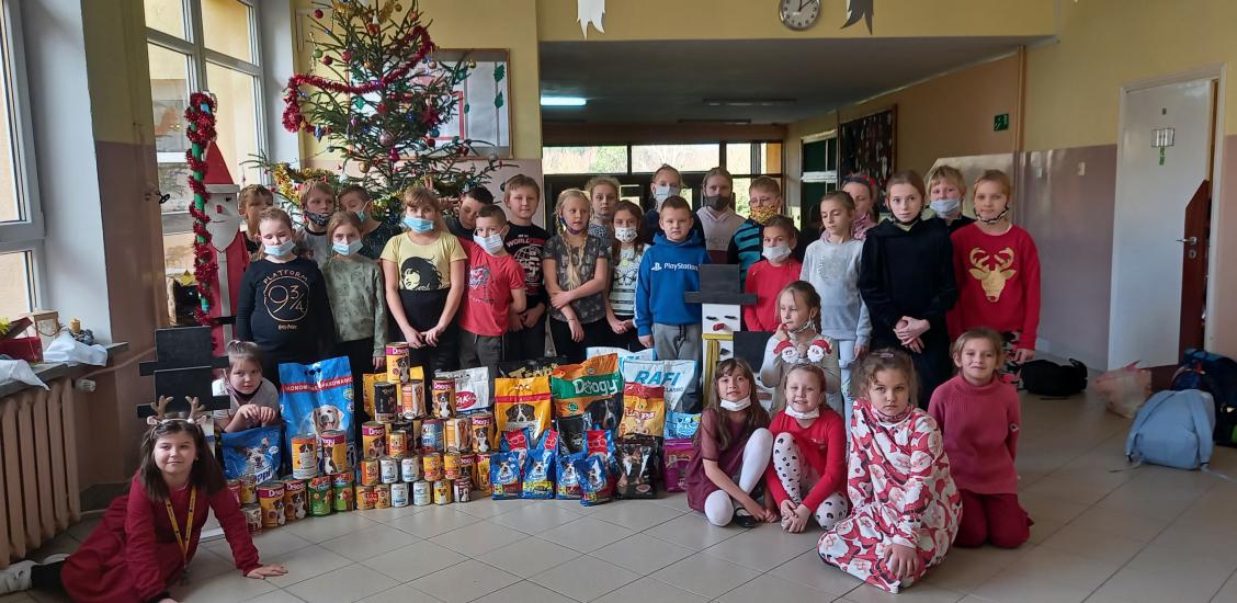 Pomogli psiakom ze schroniska  