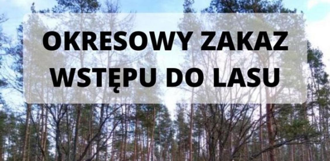 Okresowy zakaz wstępu do lasu