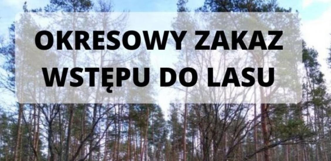 Zakaz wstępu lasu