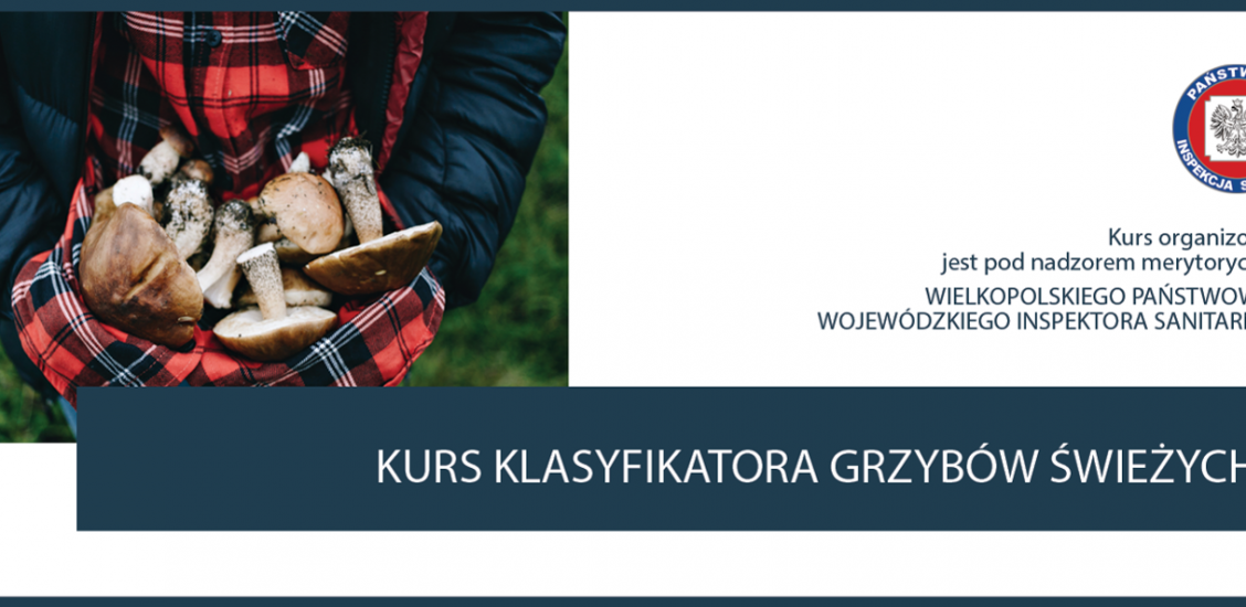 Kurs klasyfikatora grzybów świeżych 2022
