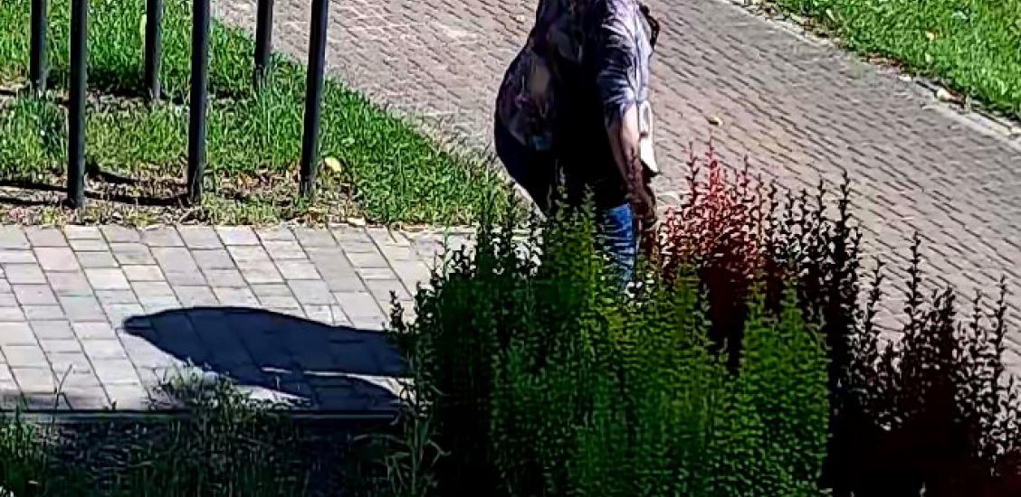 Miejskie kwiaty nadal mają swoich amatorów 