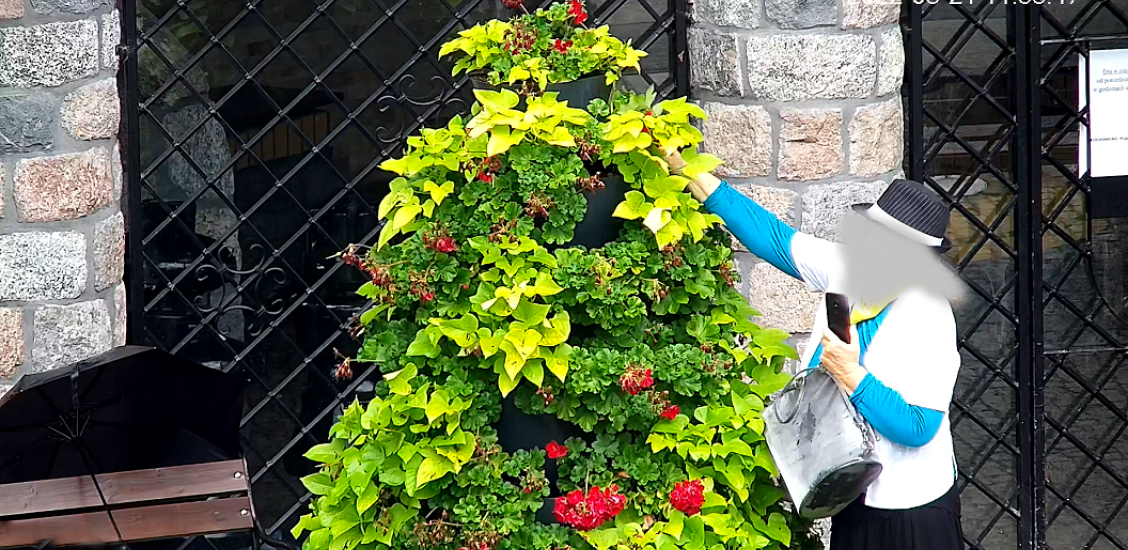 Ładne kwiatki. Znowu…