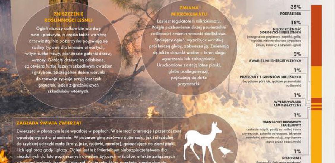 ‼️ UWAGA SUSZA ‼️