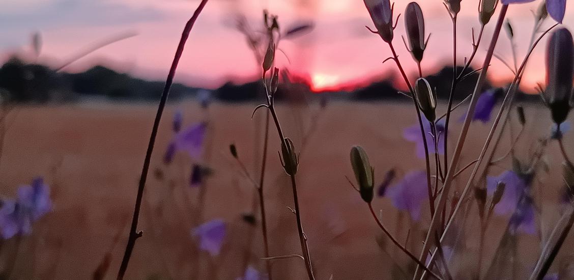 Szwajcaria Połczyńska w obiektywie Radnego Adama Słabkowskiego