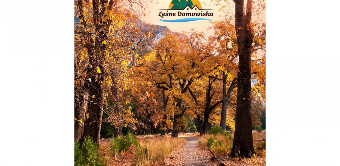 Leśne Domowisko- otoczenie