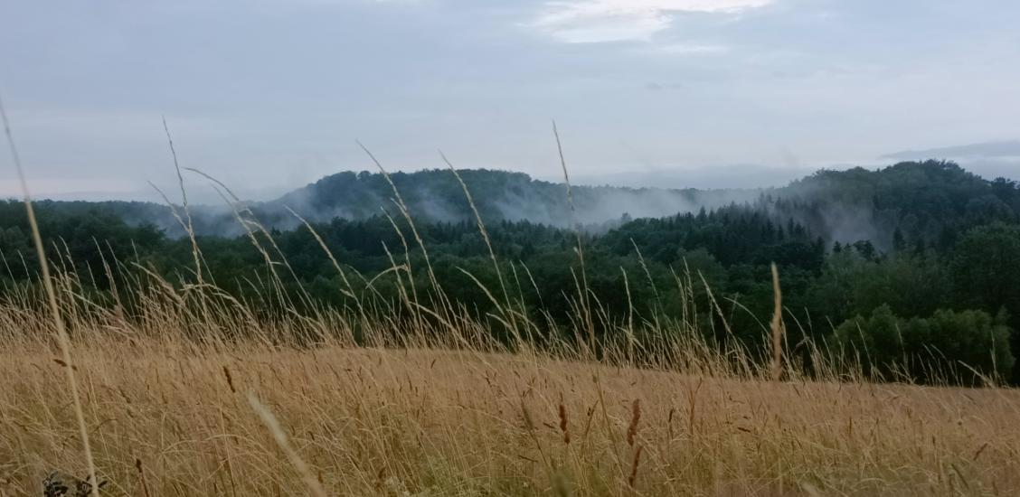 Szwajcaria Połczyńska w okolicach Połczyna-Zdroju przypomina tereny górskie