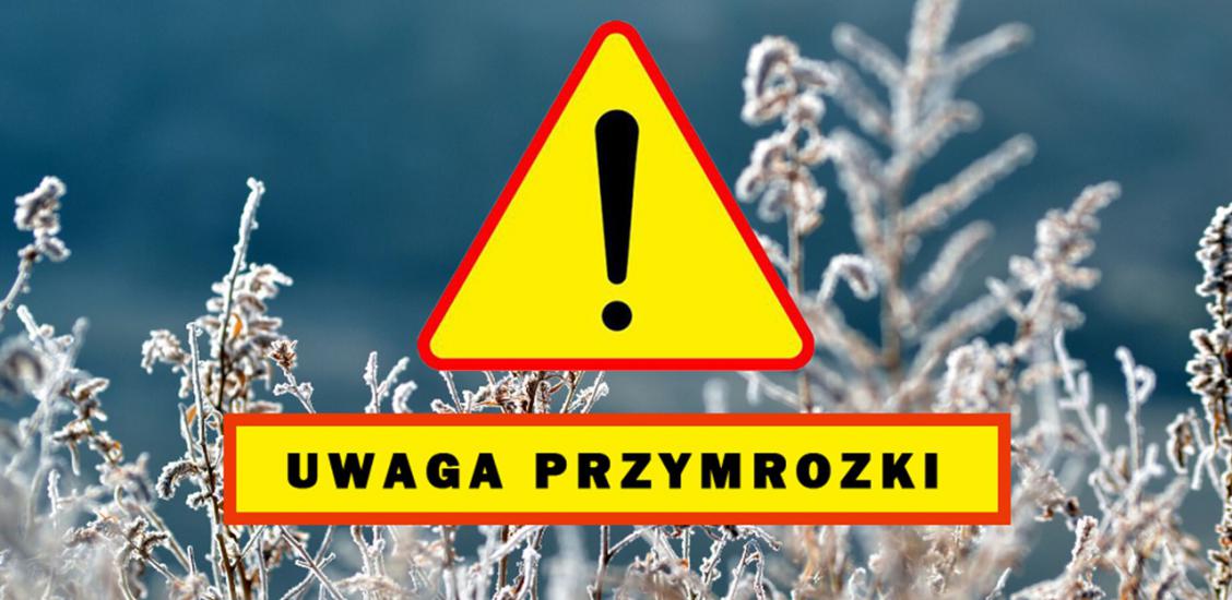 UWAGA! MOŻLIWE PRZYMROZKI 27-28 MARCA 2023