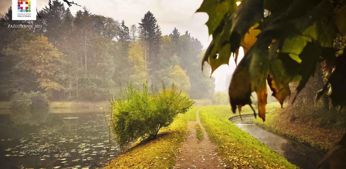 STAW DOLNY W PARKU ZDROJOWYM