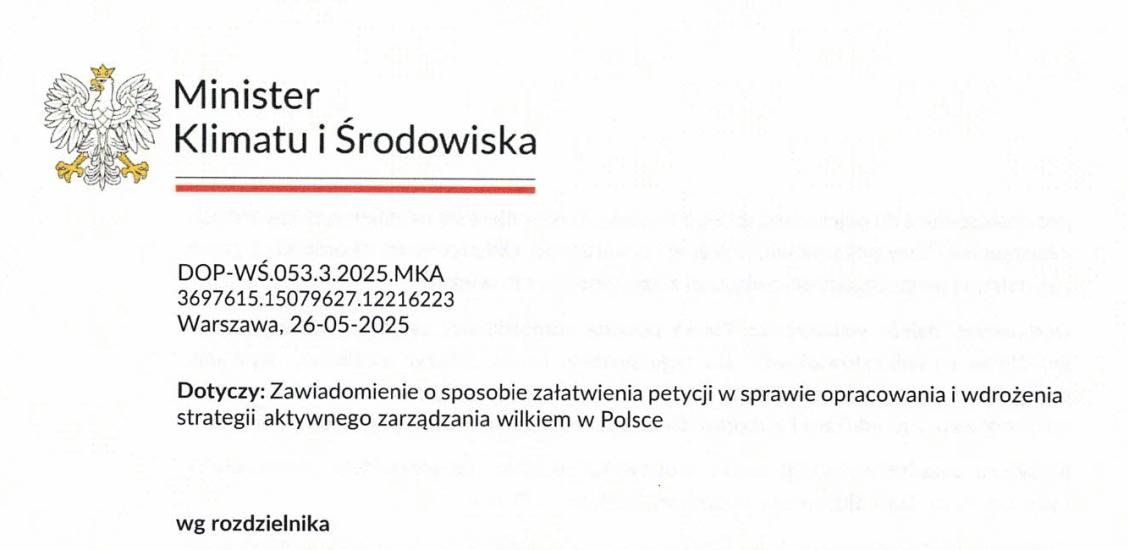 Odpowiedź z Ministerstwa Klimatu i Środowiska na petycję dotyczącą opracowania i wdrożenia strategii aktywnego zarządzania wilkiem w Polsce