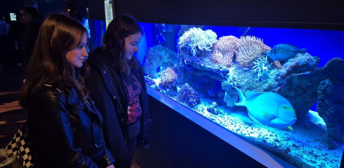 Wyjazdy edukacyjne uczniów szkół podstawowych Gminy Połczyn-Zdrój do Międzyzdrojów