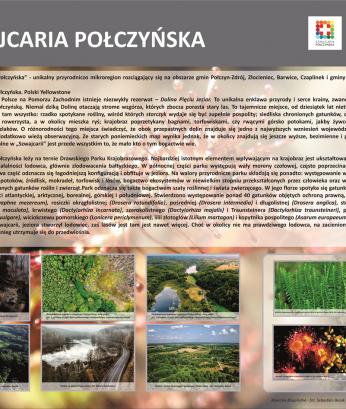 TABLICA- SZWAJCARIA POŁCZYŃSKA
